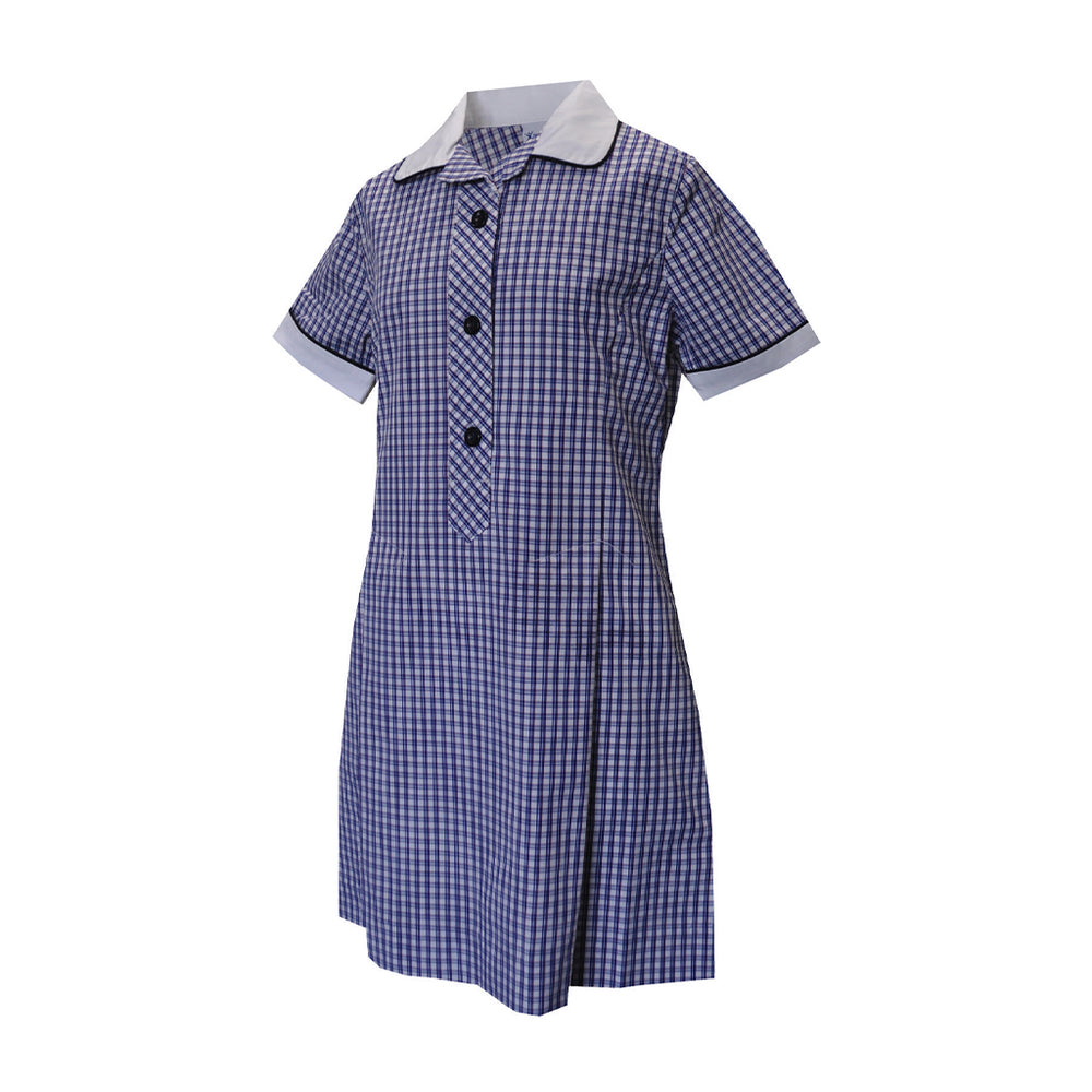 Princess Line Box Pleat Dress - CLARE